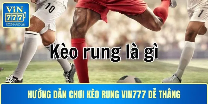 KÈO RUNG VÀ HƯỚNG DẪN CHƠI KÈO RUNG DỄ THẮNG CHO CƯỢC THỦ 7 HƯỚNG DẪN CHƠI KÈO RUNG VIN777 DỄ THẮNG